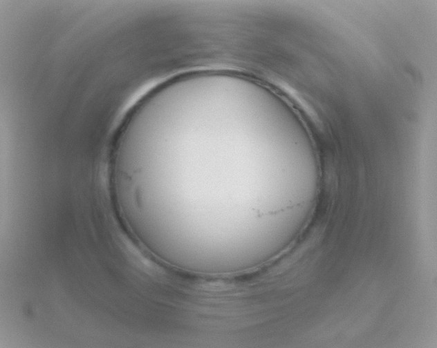 X0000115581460200911241502