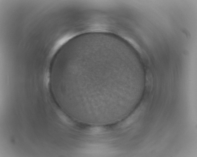 X0000115581461200911241502