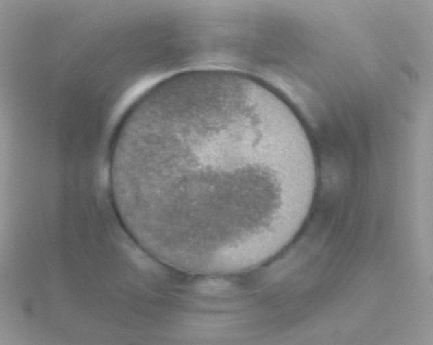 X0000115581462200911241502