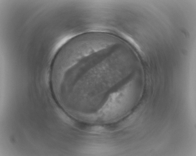 X0000115581463200911241502