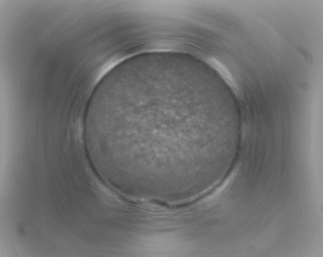 X0000115581465200911241502