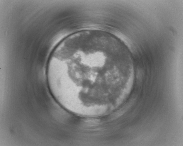 X0000115581466200911241502