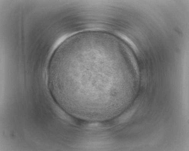 X0000115581467200911241502