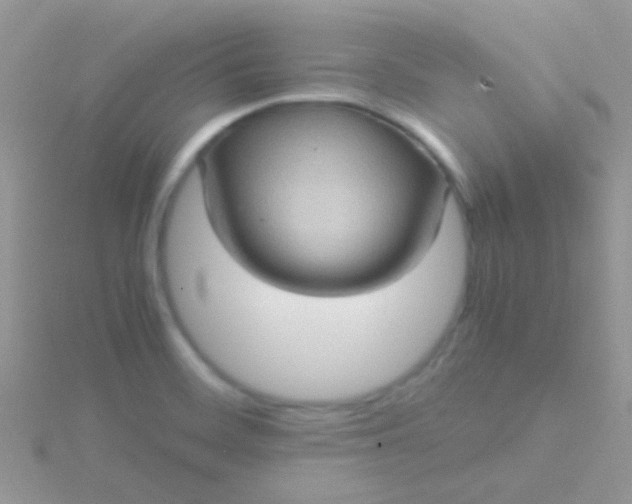 X0000115581468200911241502