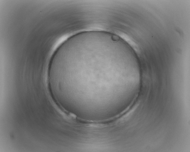 X0000115581469200911241502