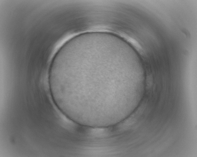 X0000115581470200911241502