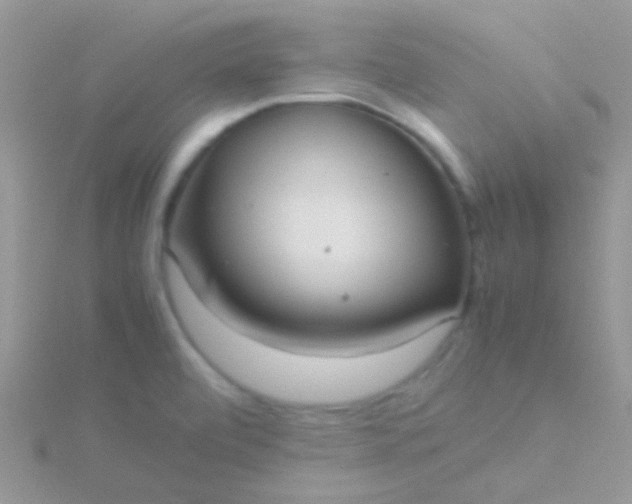 X0000115581472200911241502