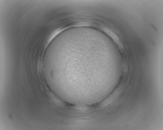 X0000115581473200911241502