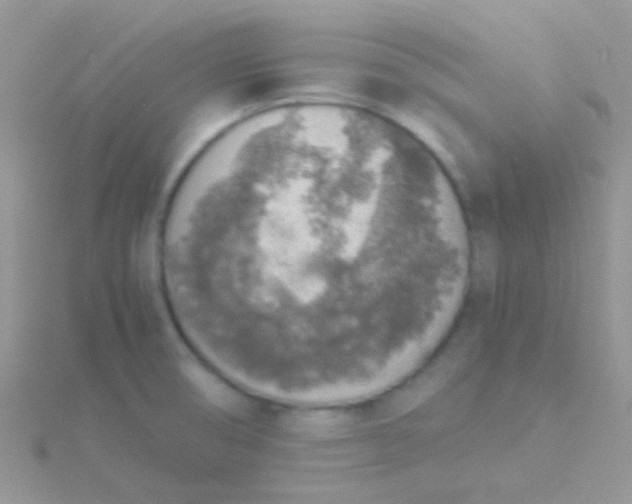 X0000115581474200911241502