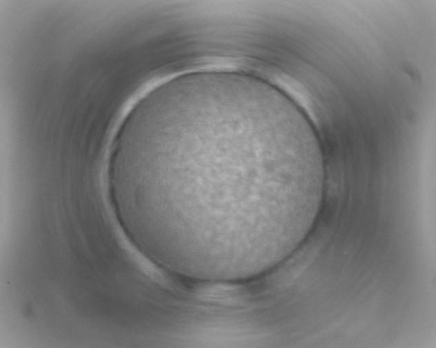 X0000115581475200911241502