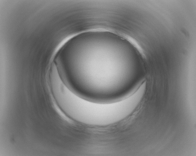 X0000115581476200911241502