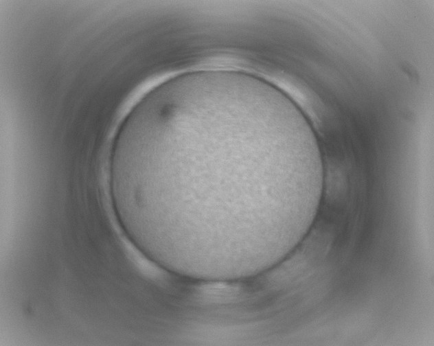 X0000115581478200911241502