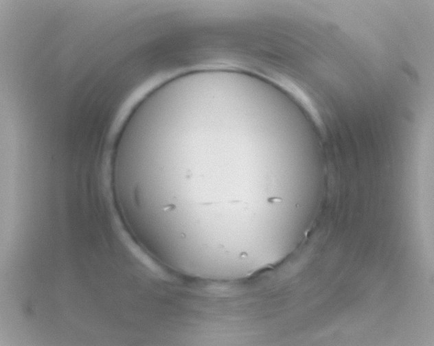 X0000115581480200911241502