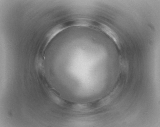 X0000115581481200911241502