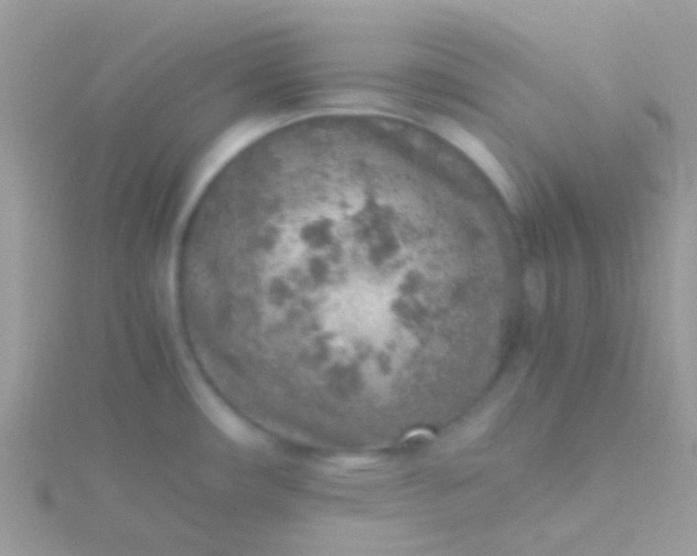 X0000115581482200911241502