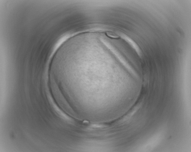 X0000115581483200911241502