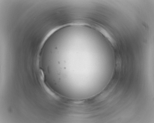 X0000115581484200911241502