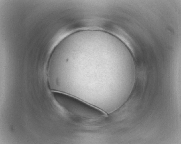 X0000115581485200911241502