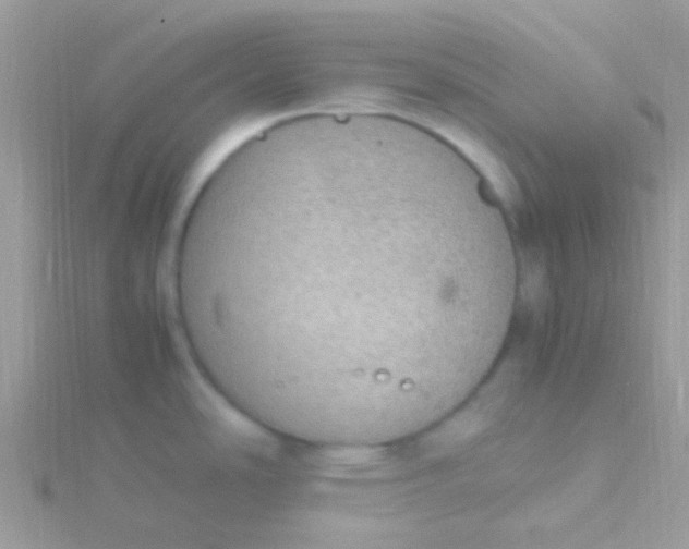 X0000115581486200911241502