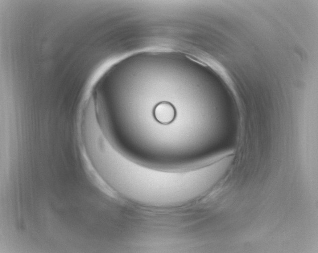 X0000115581488200911241502