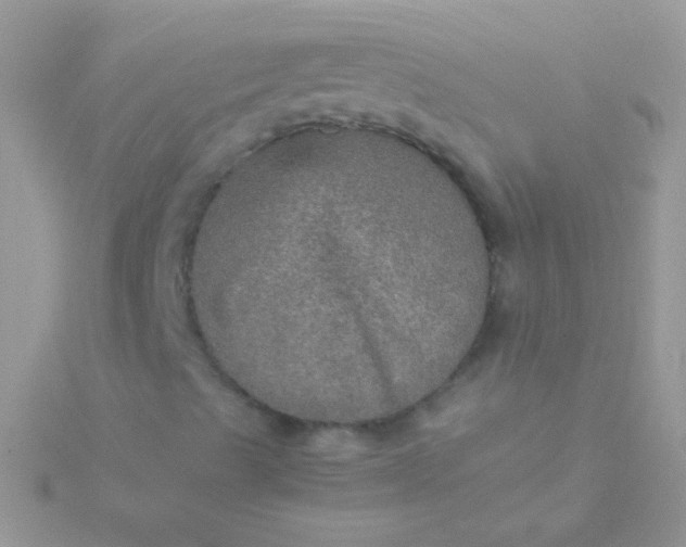 X0000115581489200911241501