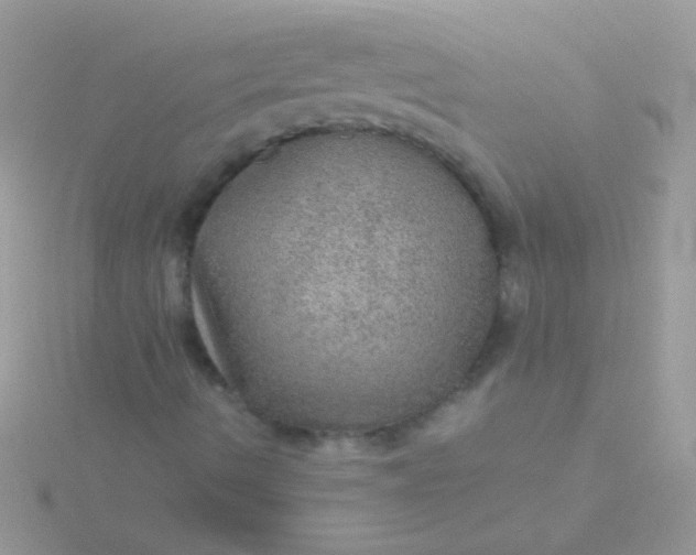 X0000115581490200911241501