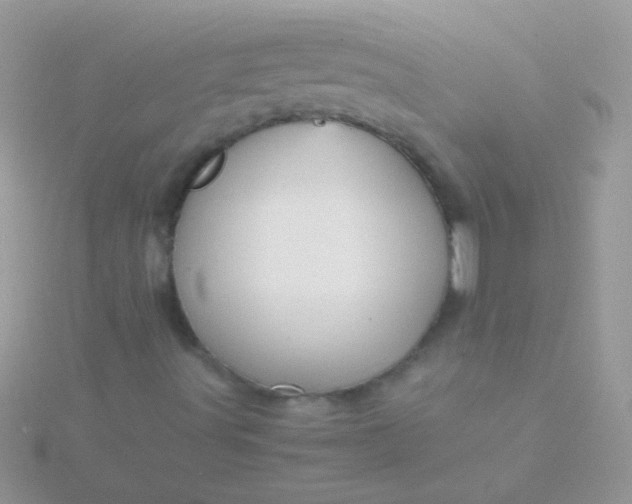 X0000115581491200911241501