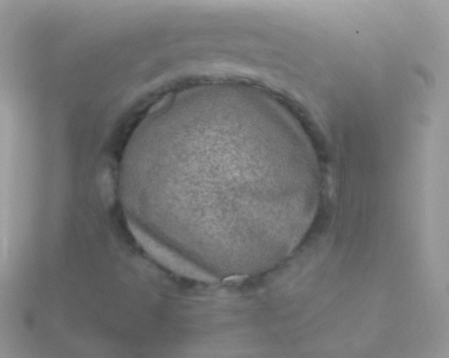 X0000115581493200911241501