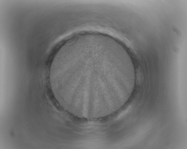 X0000115581494200911241501