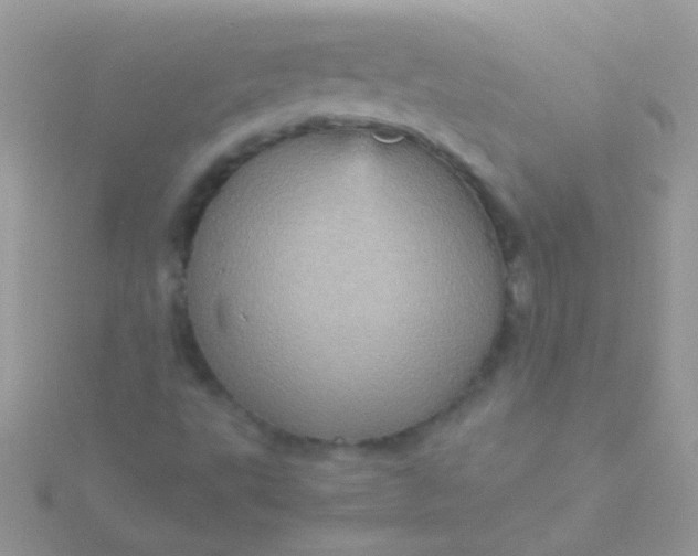 X0000115581495200911241501