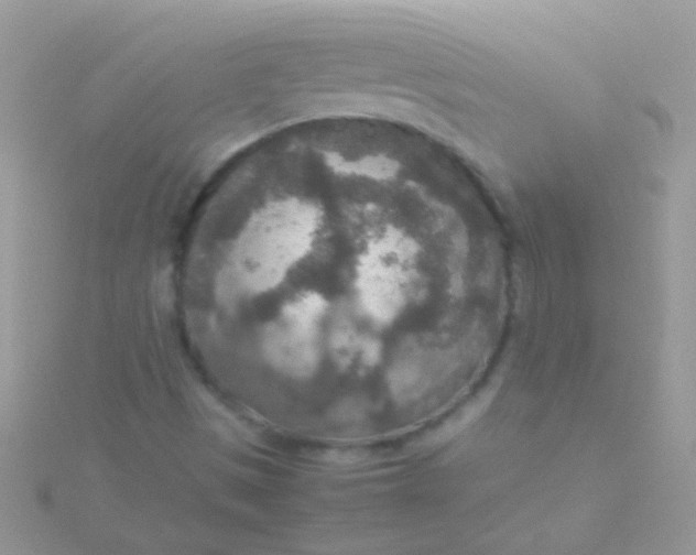 X0000115581497200911241501