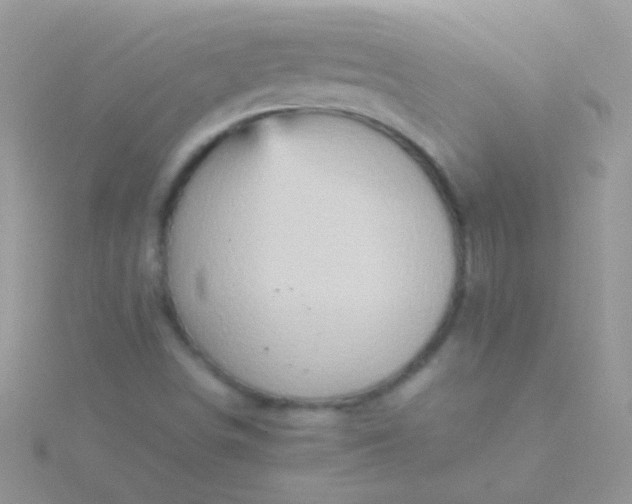 X0000115581498200911241501