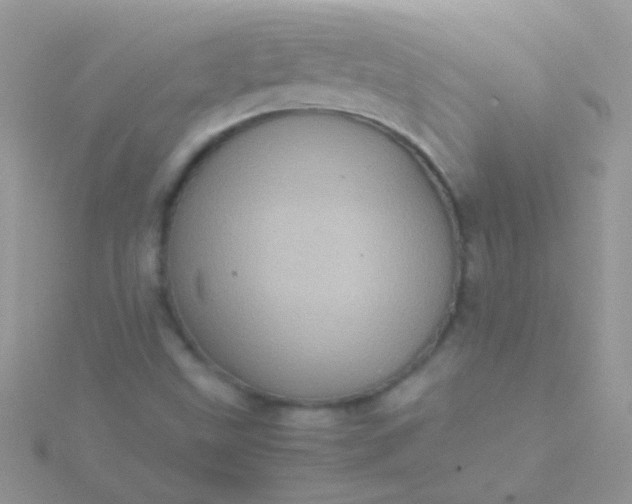 X0000115581499200911241501