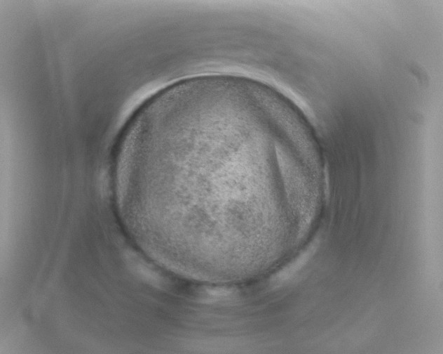 X0000115581501200911241501