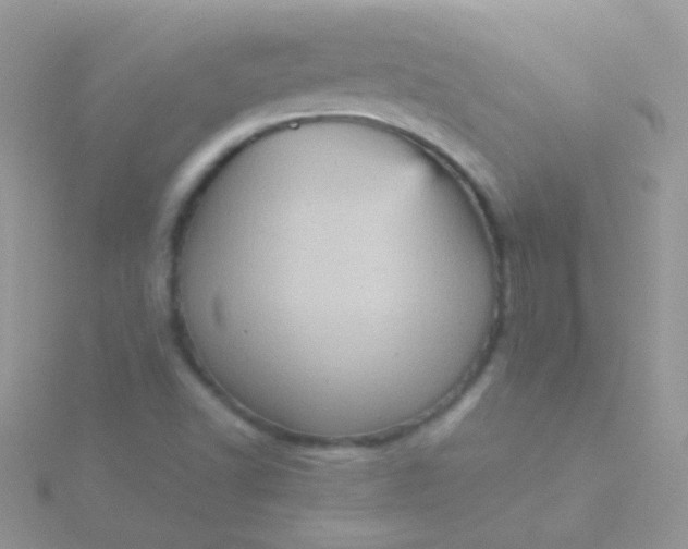 X0000115581502200911241501