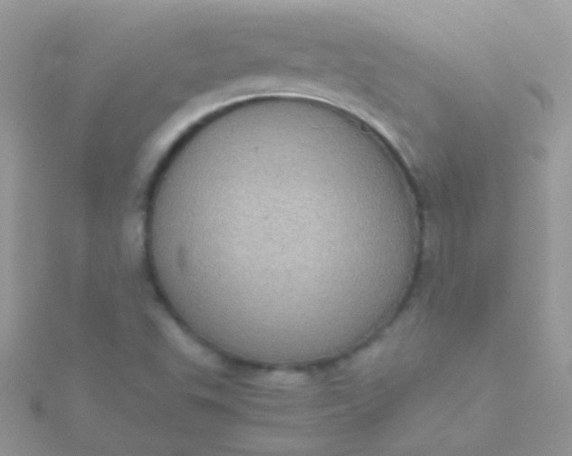 X0000115581503200911241501