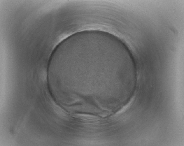 X0000115581505200911241501