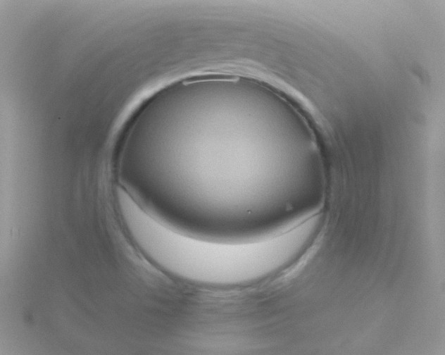 X0000115581506200911241501