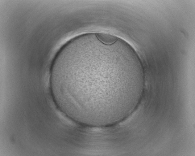 X0000115581507200911241501