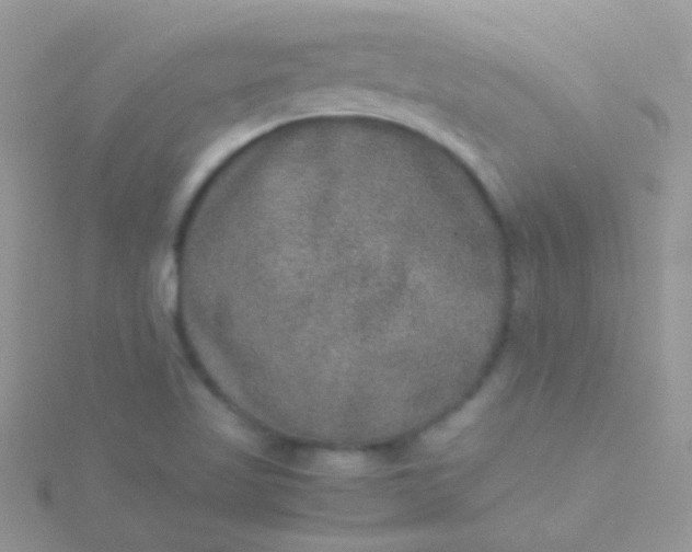 X0000115581509200911241501