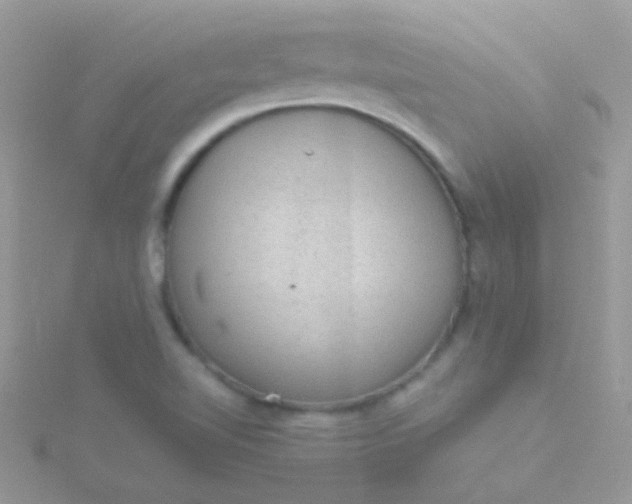 X0000115581510200911241501