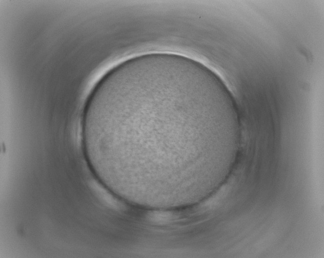 X0000115581511200911241501