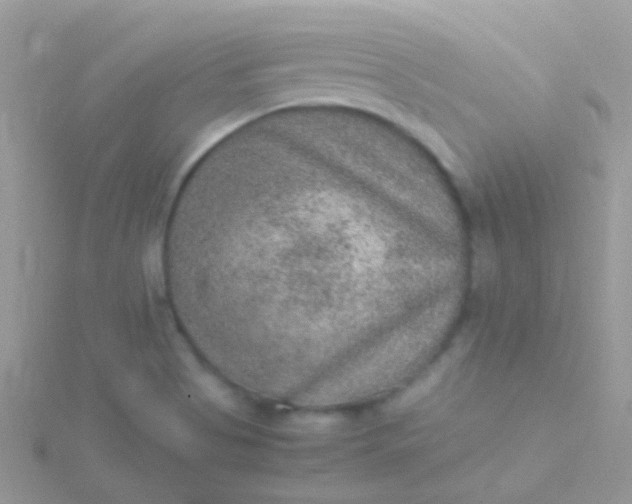 X0000115581513200911241501