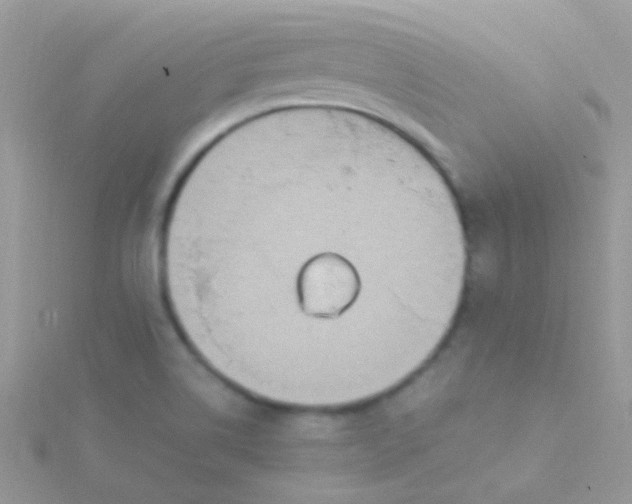 X0000115581514200911241501