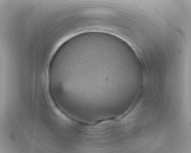 X0000115581515200911241501