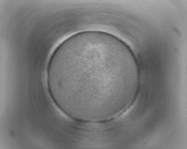 X0000115581517200911241501