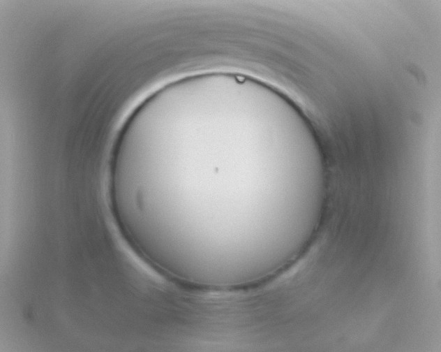 X0000115581518200911241501