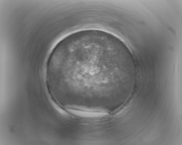 X0000115581519200911241501