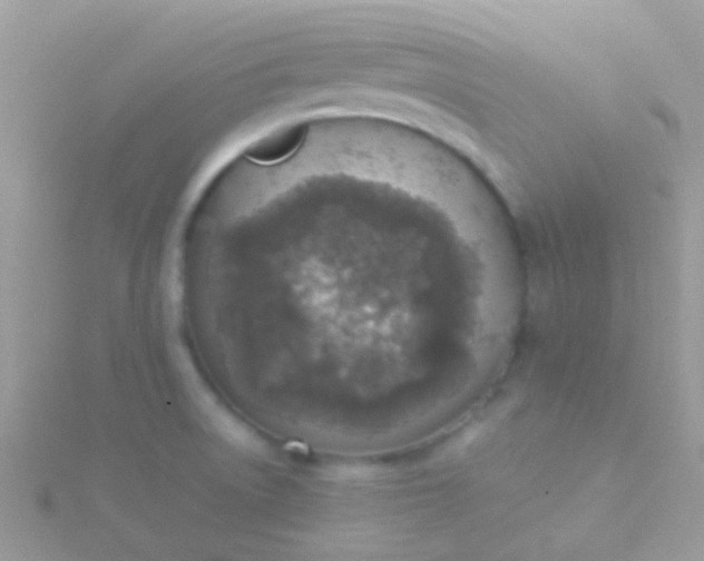 X0000115581522200911241501