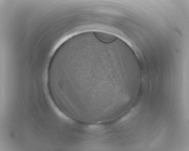 X0000115581523200911241501